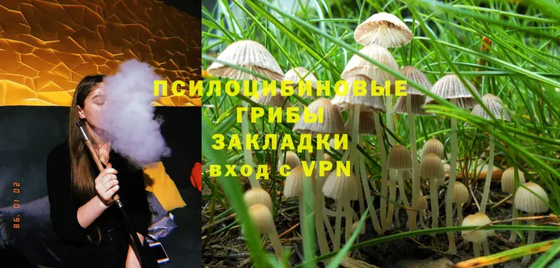 Псилоцибиновые грибы Psilocybine cubensis  как найти закладки  Рассказово 