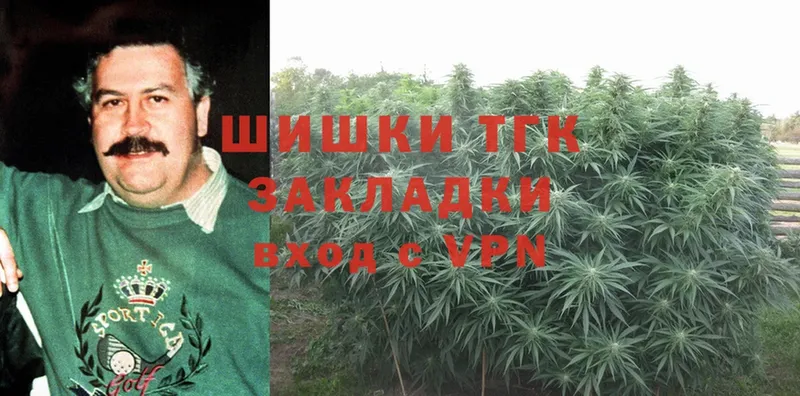 Бошки Шишки SATIVA & INDICA  купить наркотики цена  Рассказово 